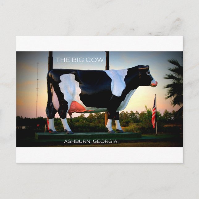 CARTE POSTALE LA GRANDE VACHE - ASHBURN, GÉORGIE (Devant)