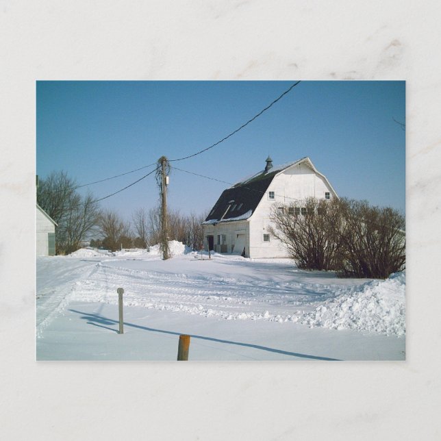 Carte Postale La grange de l'Iowa en hiver (Devant)