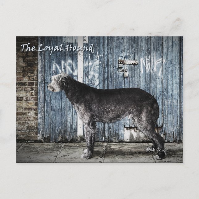 Carte Postale La hache loyale (Devant)