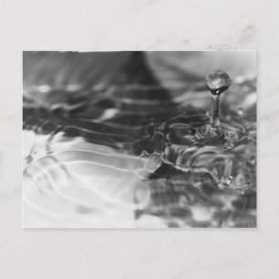 Carte Postale La jolie eau