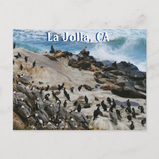 Carte postale La Jolla California