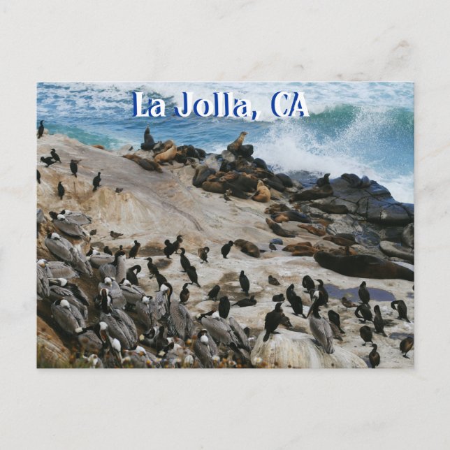 Carte postale La Jolla California (Devant)