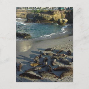 Carte Postale La Jolla Cove Beach Vagues Sable Seaux