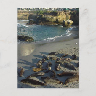 Carte Postale La Jolla Cove Beach Vagues Sable Seaux