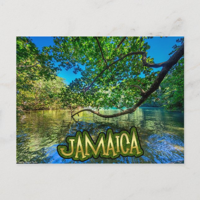 Carte Postale La lagune bleue de Jamaïque, Port Antonio (Devant)
