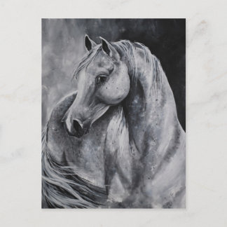 Carte Postale La lumière du matin