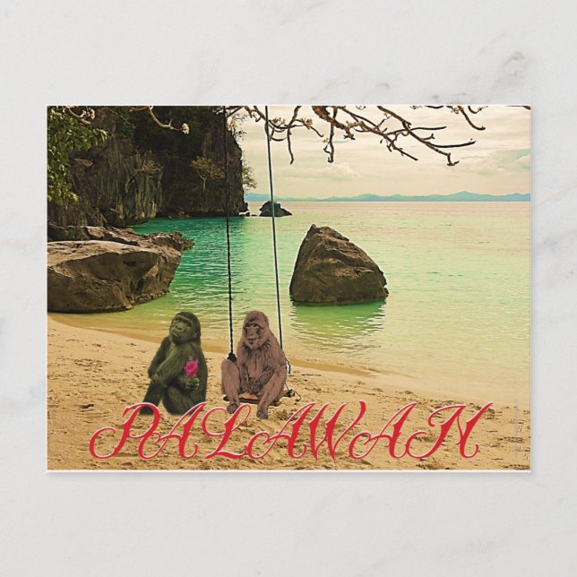 Carte Postale La meilleure histoire d'amour de Palawan (Devant)