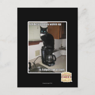 Carte Postale la meilleure partie uv réveil