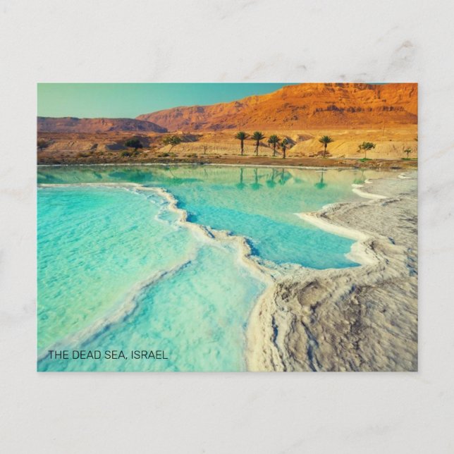 CARTE POSTALE LA MER MORTE, ISRAËL (Devant)