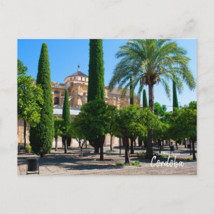 Carte Postale La Mezquita Catedral de Córdoba - L'Espagne Réelle