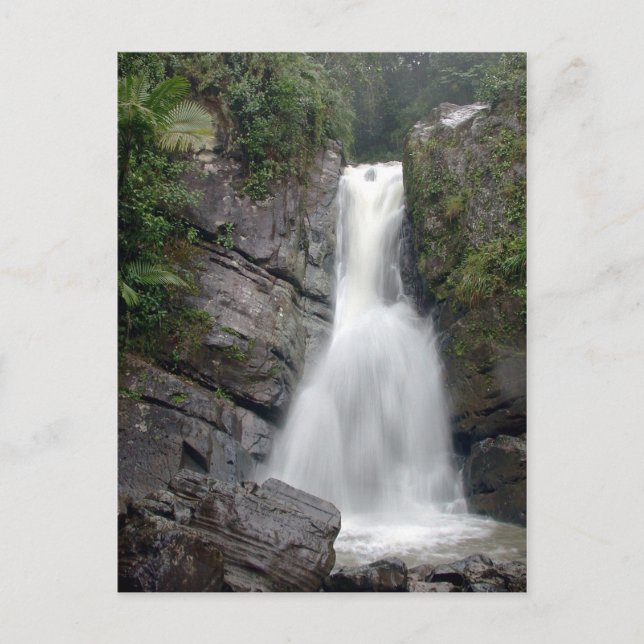 Carte postale La Mina Falls (Devant)