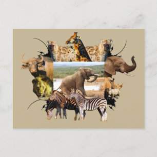 Carte Postale La montée des éléphants du cadre faunique africain