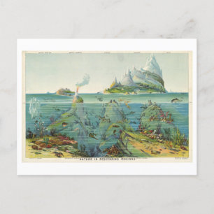 Carte Postale "La nature dans les régions en déclin" Illustratio