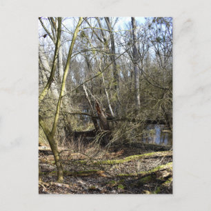 Carte Postale La nature des Madowlands