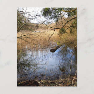 Carte Postale La nature des Madowlands