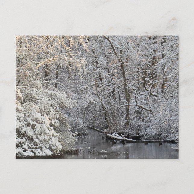 Carte Postale La neige en hiver La scène de l'eau calme (Devant)