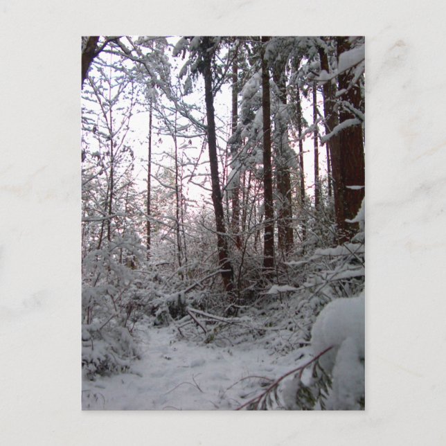 Carte Postale LA NEIGE HIVER par SHARON SHARPE (Devant)