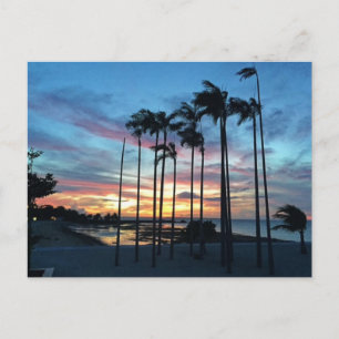 Carte Postale La noix de coco à la plage