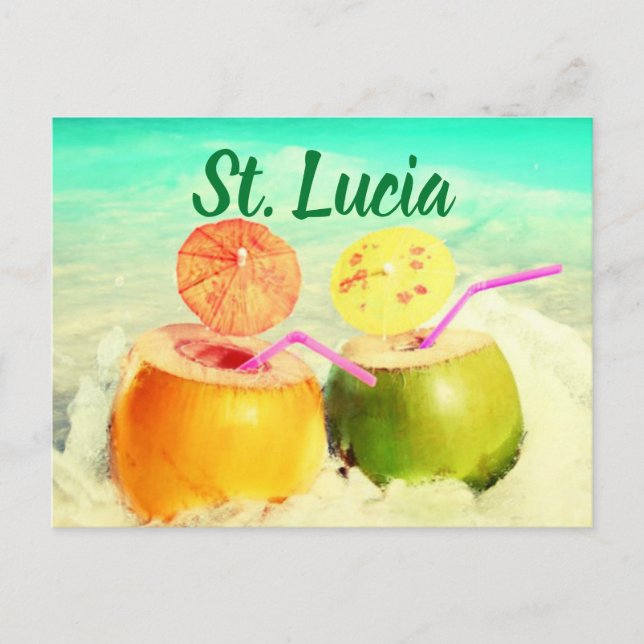 Carte Postale La noix de coco de Sainte-Lucie (Devant)