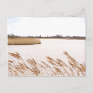 Carte Postale La Norfolk Broads