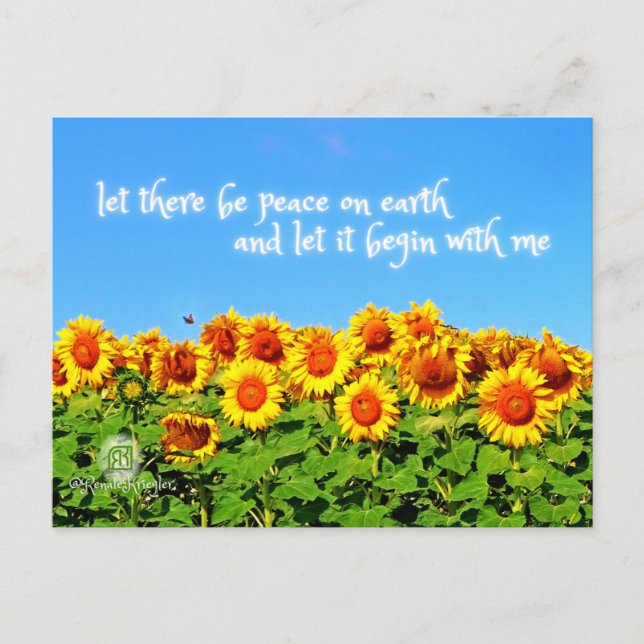 Carte Postale La paix des tournesols pour l'Ukraine (Devant)