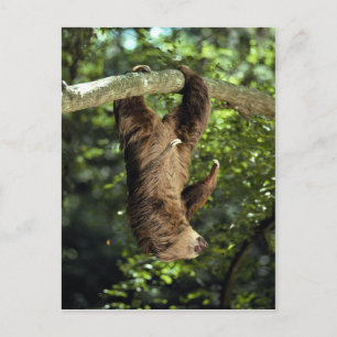 Carte Postale La paresse à deux doigts de Hoffmann