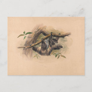 Carte Postale La parodie à trois doigts de Joseph Wolf
