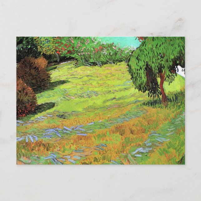 Carte Postale La pelouse ensoleillée dans un parc public par Vin (Devant)