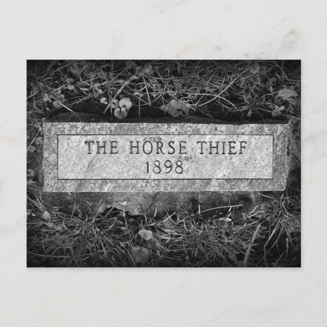 Carte Postale La pierre tombale du Cheval Thief (Devant)
