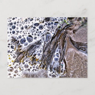 CARTE POSTALE LA PLAGE, ALGUES, EAU ET SABLE