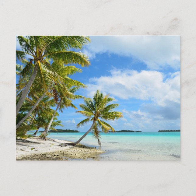 Carte Postale La plage de palmiers du Pacifique (Devant)