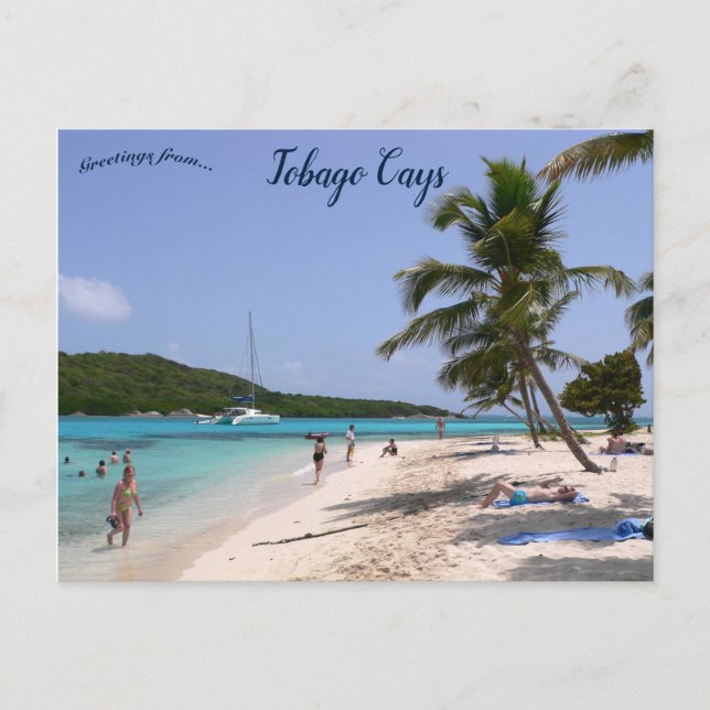 Carte Postale La plage de Tobago Cays (Devant)