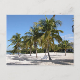 Carte Postale La plage d'Islamorada en Floride