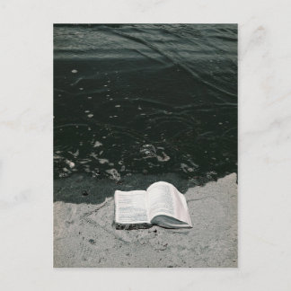 Carte Postale La Plage Parfaite À Lire