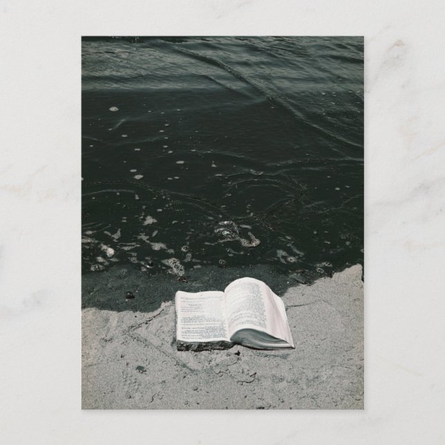 Carte Postale La Plage Parfaite À Lire (Devant)