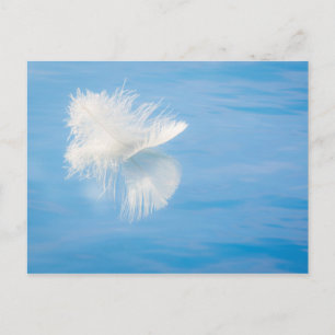 Carte Postale La plume blanche réfléchit sur l'eau   Seabeck, WA