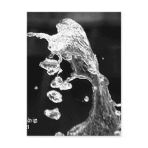 "la plus belle photographie d'art moderne anisia"