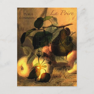 Carte Postale La Poire #1