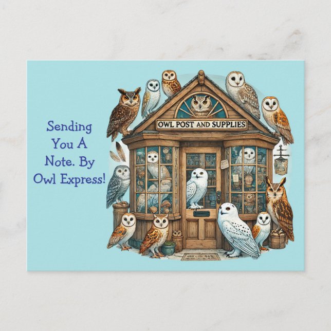 Carte Postale La Poste du Hibou Générique  (Devant)