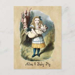 Carte Postale La pouponnière Alice, Cochon bébé au pays des merv