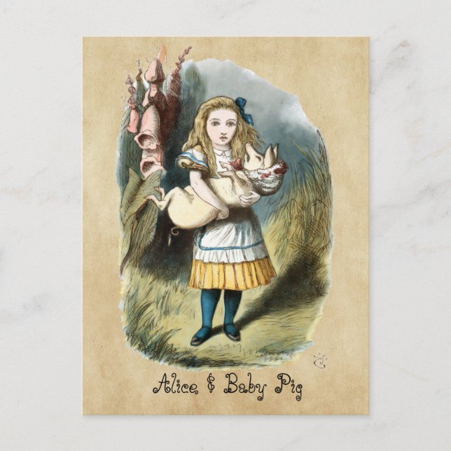 Carte Postale La pouponnière Alice, Cochon bébé au pays des merv (Devant)
