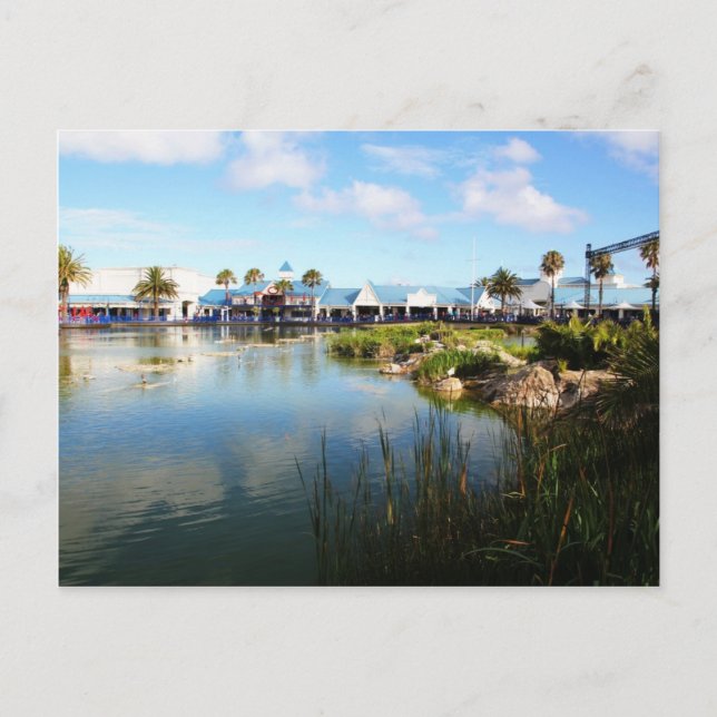 Carte Postale La promenade à Port Elizabeth (Devant)