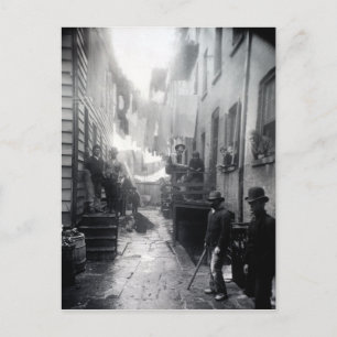 Carte Postale La racine de Jacob Riis Bandit