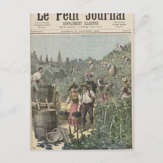 Carte Postale La Récolte De Vins (Devant)