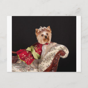 Carte Postale La reine Yorkie