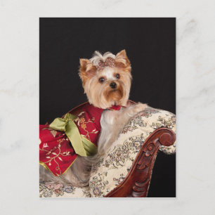 Carte Postale La reine Yorkie