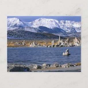 CARTE POSTALE LA RÉSERVE NATURELLE DE MONO LAKE TUFA,