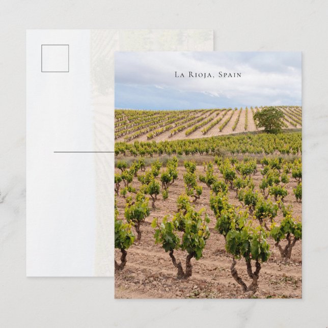 Carte Postale La Rioja, Spain Vineyard Landscape (Devant / Derrière)