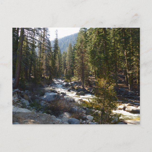 Carte Postale La rivière Kaweah dans le parc national de Sequoia (Devant)