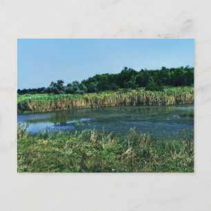 Carte Postale La rivière Molochnaya près de Melitopol. Ukraine d